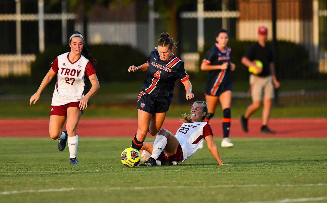 Sports / Athletics image